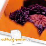 Trusted Shops Mitglied achtung-poster.de mit neuem Produkt: Foto auf Acrylglas