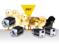 Gigabit-Ethernet-Cameras offer big pixel with Sony CCD ICX414 / 415 Sensors