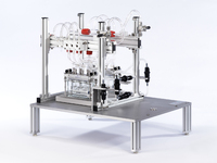 Prevalidation study for testing toxic effects of inhalable substances (gases) using VITROCELL® cultivation and exposure system