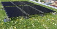 TubeSolar startet weitreichende Kooperation mit Dachbegrünungs-Systemhersteller ZinCo