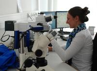 Mit flexiblem Studium zum Erfolg