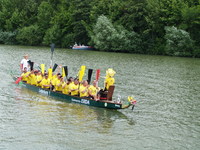 Heilbronn: Drachenboot - Cup auf dem Neckar