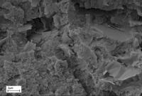 Workshop Nanostrukturierte Kompositmaterialien – Programm jetzt online