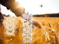 Produktivität und Nachhaltigkeit landwirtschaftlicher Prozesse in Einklang bringen