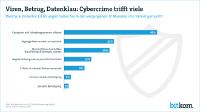 Jeder zweite Internetnutzer Opfer von Cybercrime