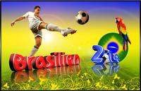 Internet: Auch hier spielt Brasilien in der ersten Liga