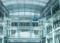 Festo präsentiert aktuelle Projekte aus dem Bionic Learning Network