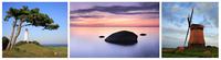 Symbiose aus Natur und Kunst - mauritius images präsentiert Andreas Vitting