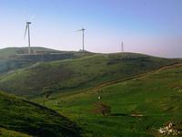 Five percent of onlineprinters.com customers order carbon neutral printed products