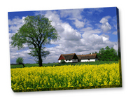 fotopost24.de bannt Fotos auf die Leinwand