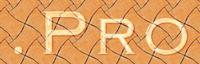Pro-Domains: Haben Sie IhrName.de und IhrName.com verpaßt? Registrieren Sie jetzt IhrName.pro!