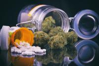 Empower Clinics stößt Cannabis-Informationskampagne mit Cannvas an