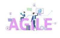 Agil und erfolgreich in dynamischen Zeiten