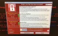 Vasgard Security & Penetration Testing