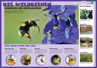Vom Weltbienentag zum Tag der biologischen Vielfalt