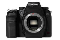SIGMA SD1 Merrill