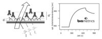 Biametrics GmbH und DITABIS AG kombinieren Kernkompetenzen für OEM-Kunden zur Bereitstellung von Komplettlösungen im Bereich kostengünstiger markierungsfreier Analytik