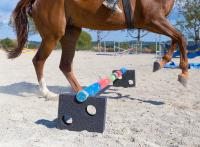 Karl Späh GmbH & Co. KG ruft neue Marke "EQUIMORE" mit speziellen Elastomer-Produkten für die Pferde- und Tierhaltung ins Leben