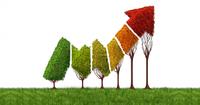 Mature Manufacturing - How Mature Is Your Operation Really?