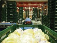 EDEKA Minden-Hannover automatisiert ihre Frischelogistik im Bereich Obst und Gemüse an den Standorten Freienbrink und Lauenau mit Cimcorp