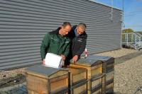 Hermes Fulfilment erntet in Haldensleben 390 Kilogramm Honig