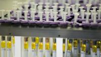 IMG wirbt auf der BIO 2016 in Kalifornien für den Biotech-Standort Sachsen-Anhalt