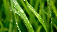 Erfolgreiches FSC® und PEFC™ Überwachungsaudit