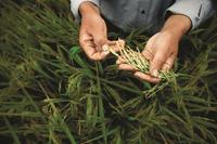 Bayer unterstützt innovative Ideen im Pflanzenschutz