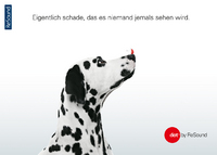 Dalmatiner mit rotem Punkt