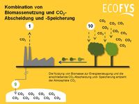 Der Atmosphäre CO2 entziehen