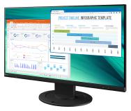 EIZO FlexScan EV2460