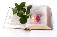 Not only for Christmas: Bible-Domains