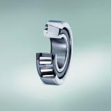 Latest NSK bearings suit lean lubrication conditions in EVs