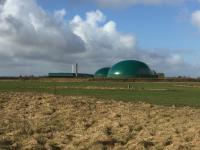 Wie sieht die Zukunft der Biogasproduktion aus?