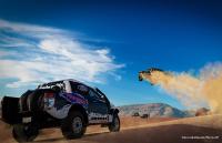Xbox One-Charts: "Forza Horizon 3" feiert Start-Ziel-Sieg