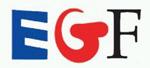 Erfolgreiche Halbzeitbilanz für EGF-Projekt tedrive