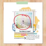 Mit Scrapbooking wird das Fotobuch zum Kunstwerk