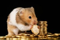 Wirtschaftlicher Aufschwung treibt Inflation an und verteuert Lebenshaltungskosten