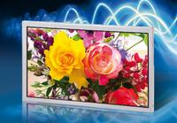 9-Zoll-LCD-Modul mit HD-Auflösung