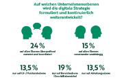 Gemeinsame digitale Strategie eine Seltenheit