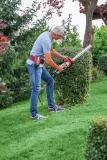 Tipps und Tricks für ein grünes Jahr