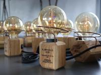 Neue badenova Innovationsfonds-Förderprojekte: 1,6 Millionen Euro für die Umwelt
