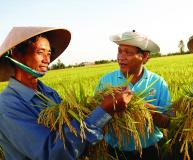 Access to Seeds Index würdigt das Engagement von Bayer für Kleinbauern in Asien mit dem zweiten Platz