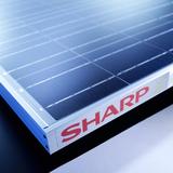 PID-Resistenz von Sharp Solar-Modulen bestätigt