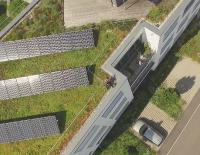 Green and Solar – 4 % increase in yield