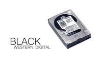 Western Digital Black WD4001FAEX 4 TB im Test