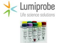 Lumiprobe - Kundenfreundlicher Bestellvorgang lässt mehr Zeit für Forschungstätigkeit