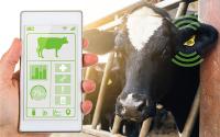 Praxisbeispiel: Asset-Tracking mit Energy-Harvesting-ICs im australischen Outback