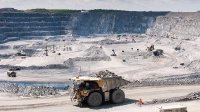 Diversification in the investment of assets
