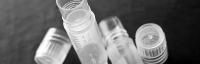Maxxline cryopreservation solutions